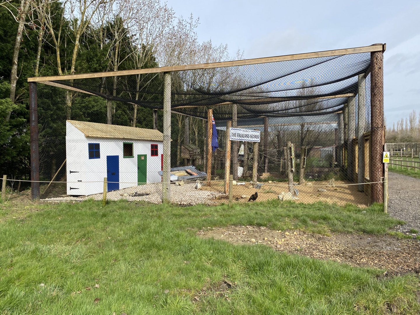 Striated caracara aviary 070320
