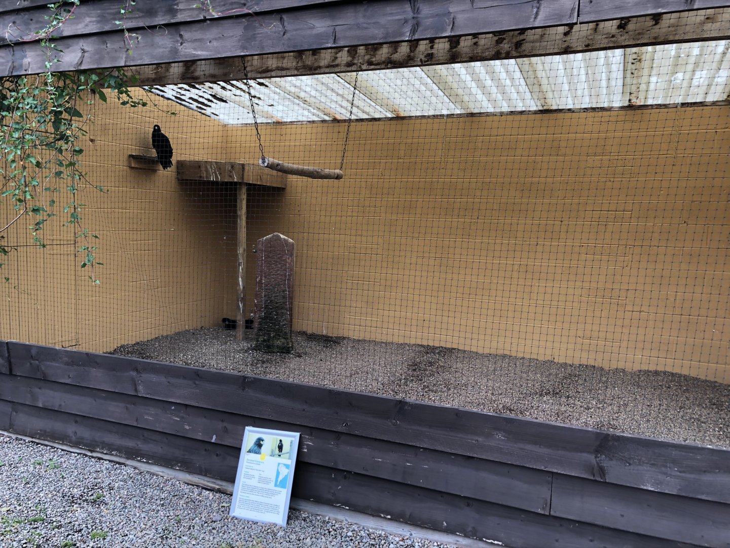 Striated Caracara Aviary at Lake District Wildlife Park (May 2019)