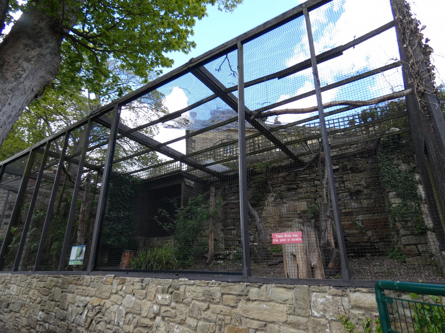 Striated caracara aviary