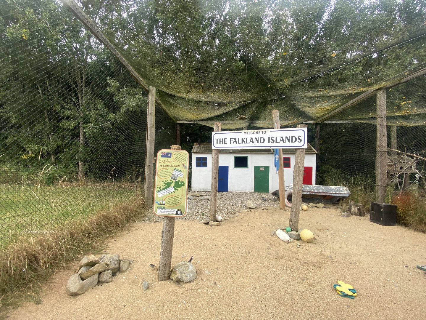 Striated caracara exhibit 040824