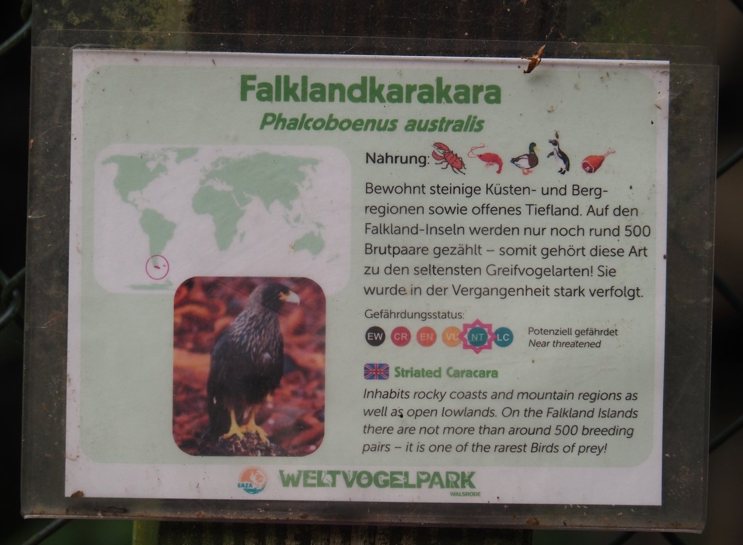 Striated caracara signage, 2024-05-21