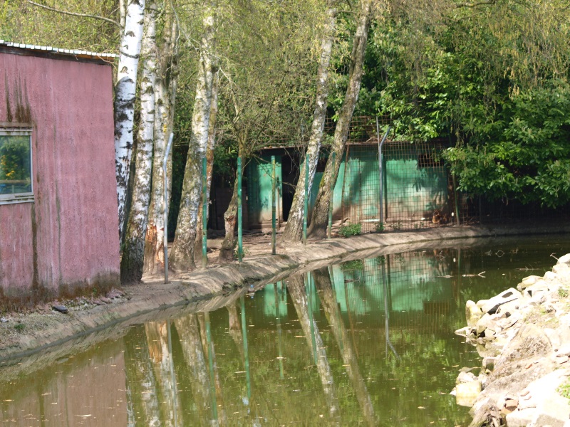 Strip of land for the capybara (April 19th, 2015)