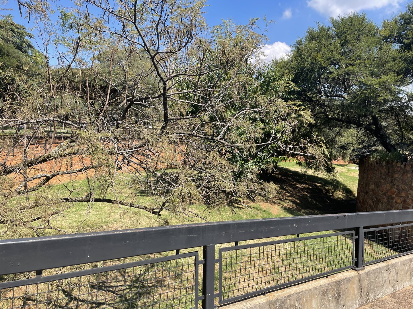 Striped  Heyena Exhibit