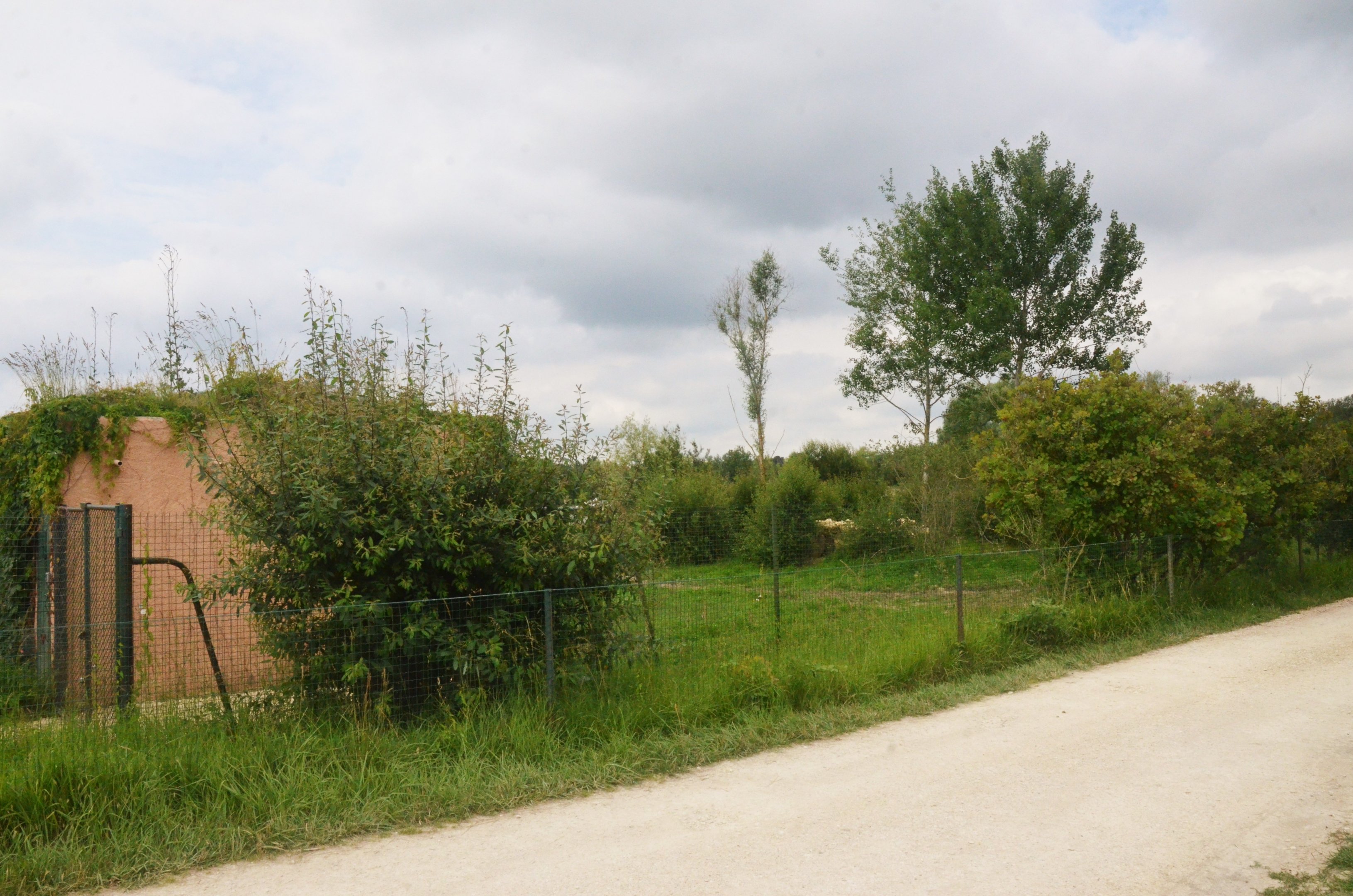 Striped Hyaena Enclosure at Haute-Touche, 14/06/18