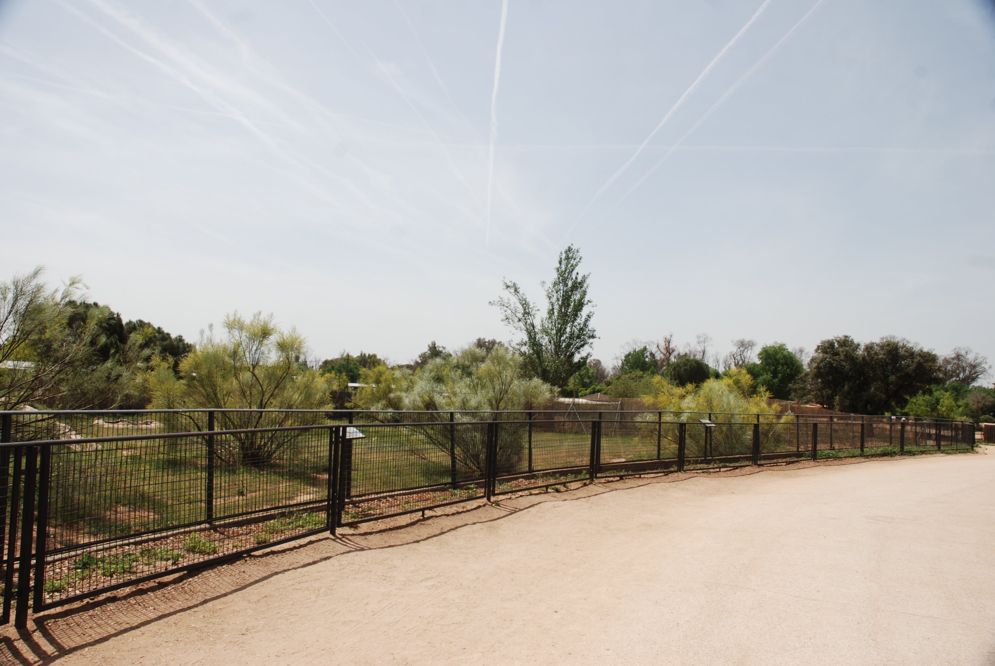 Striped Hyaena Enclosure at Safari Madrid, 19th May 2022