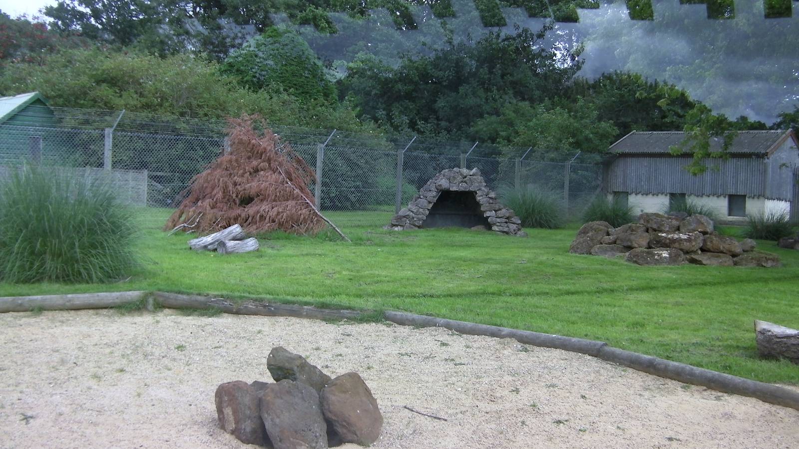 Striped Hyaena Encosure - 29.07.2011