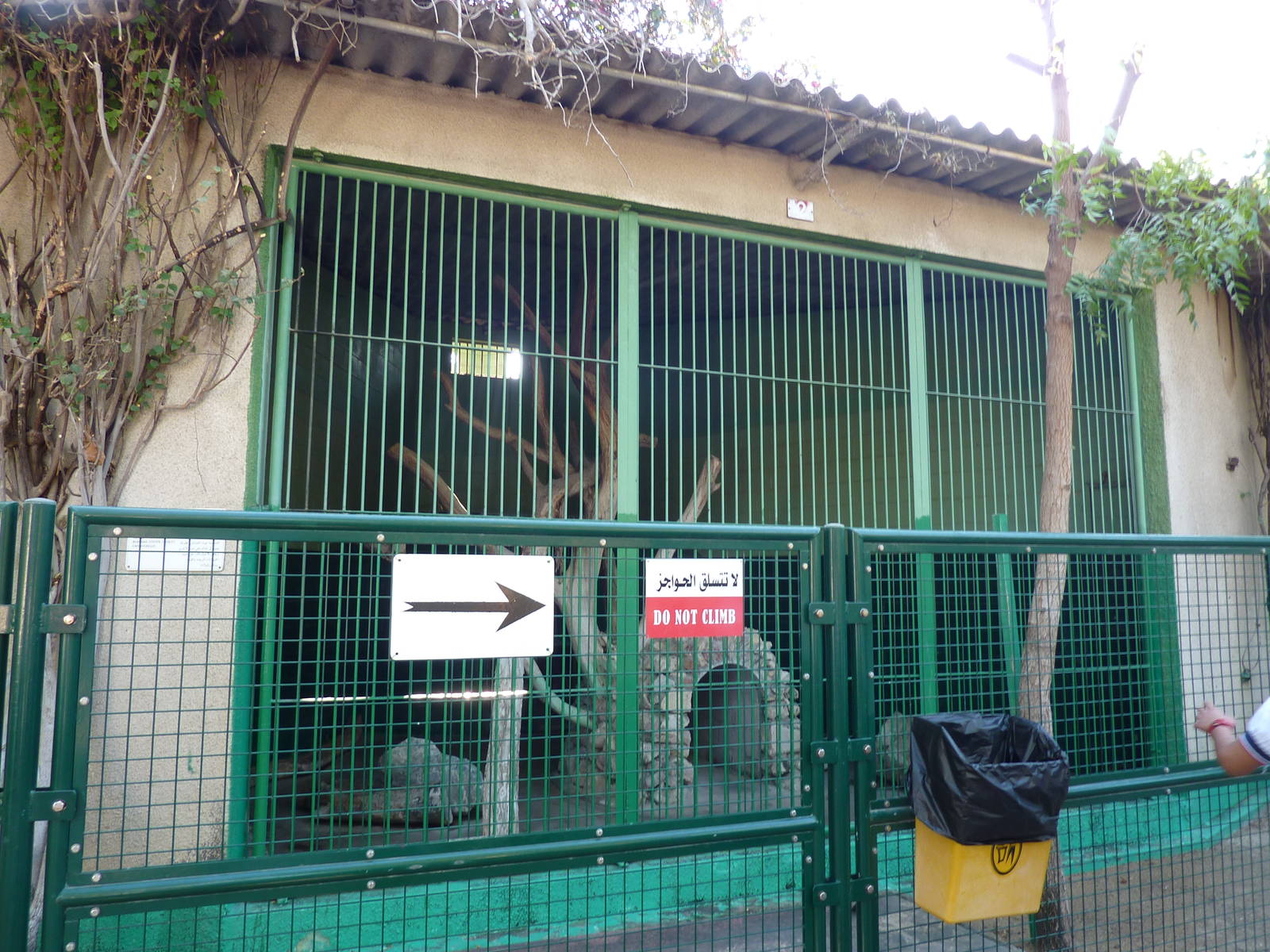 Striped hyena enclosure in the cat house