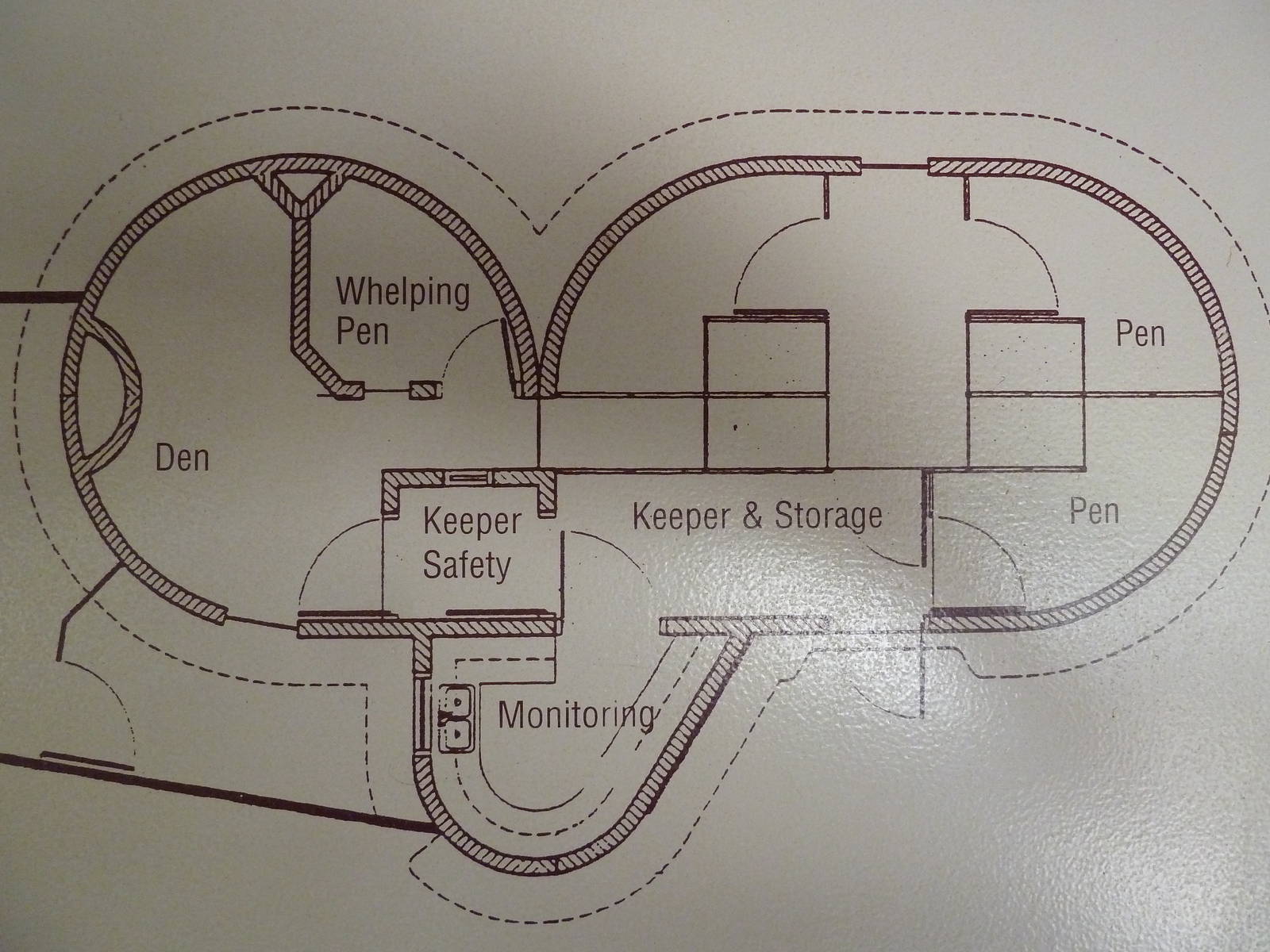Striped Hyena Enclosure - Off-Exhibit Map
