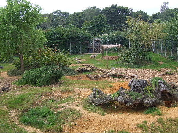 Striped Hyena enclosure