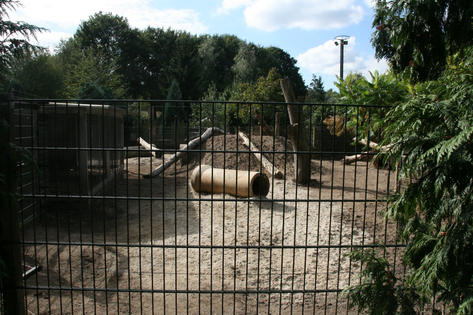 Striped hyena enclosure