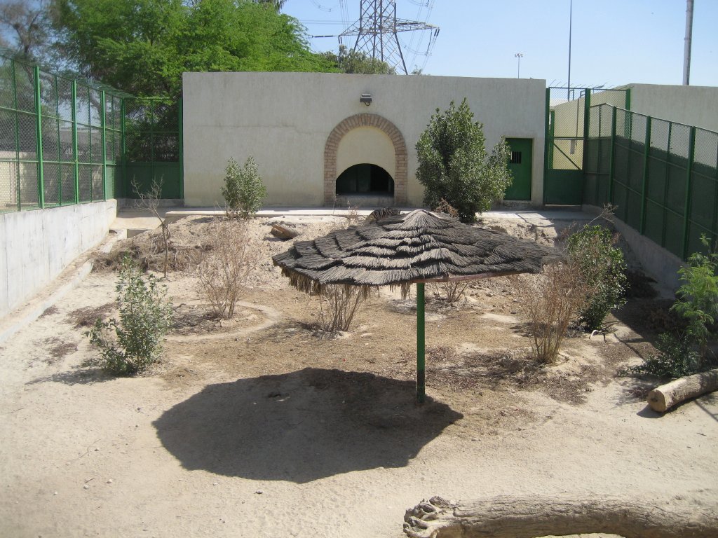 Striped Hyena enclosure