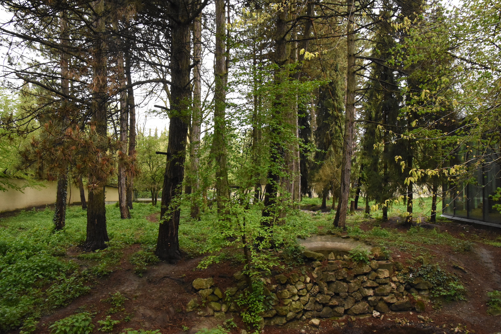 Striped hyena enclosure