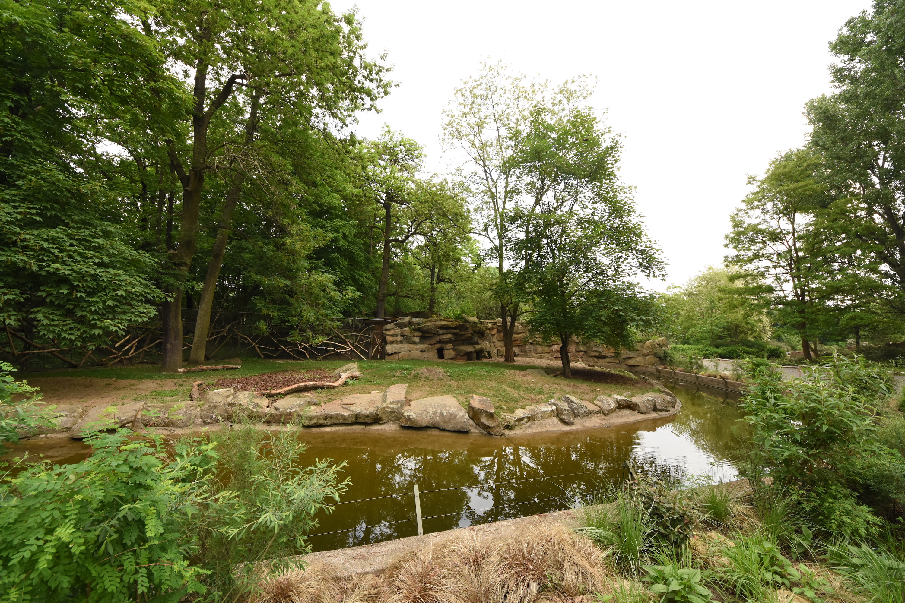 Striped hyena enclosure