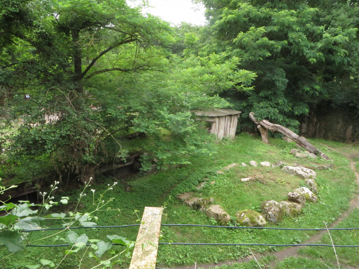 Striped Hyena enclosure