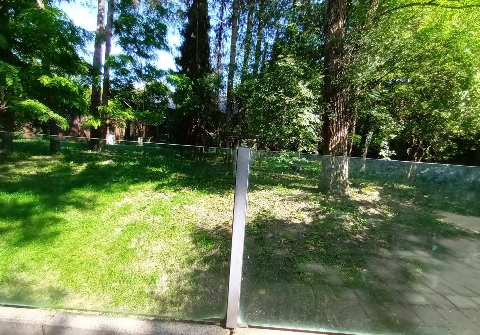 Striped Hyena Enclosure