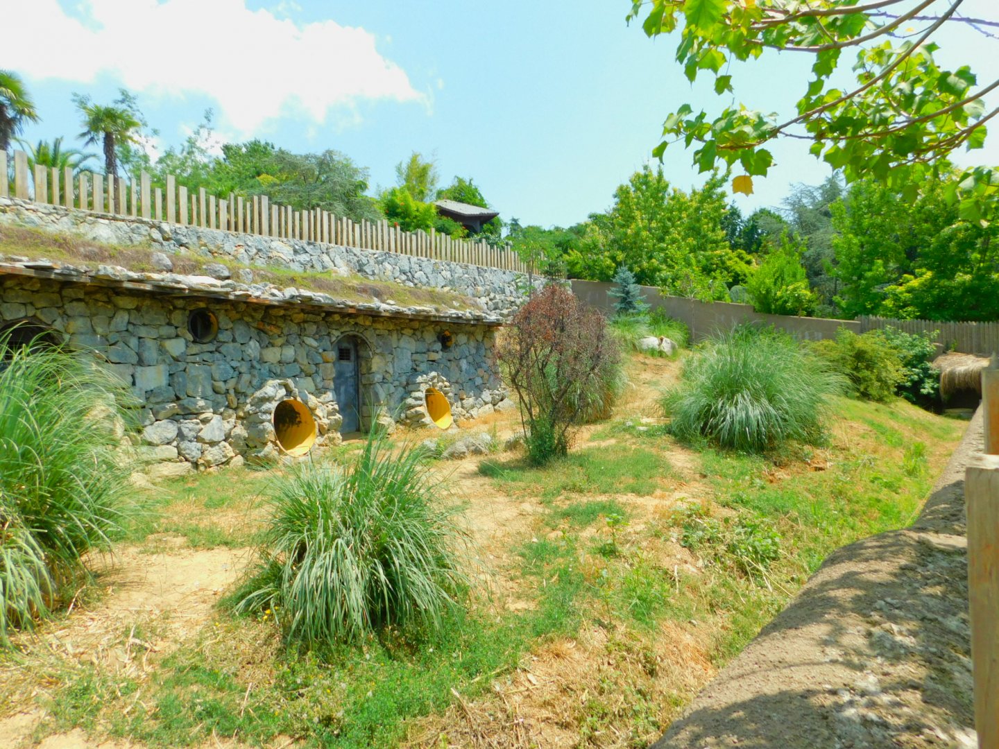 Striped hyena enclosure