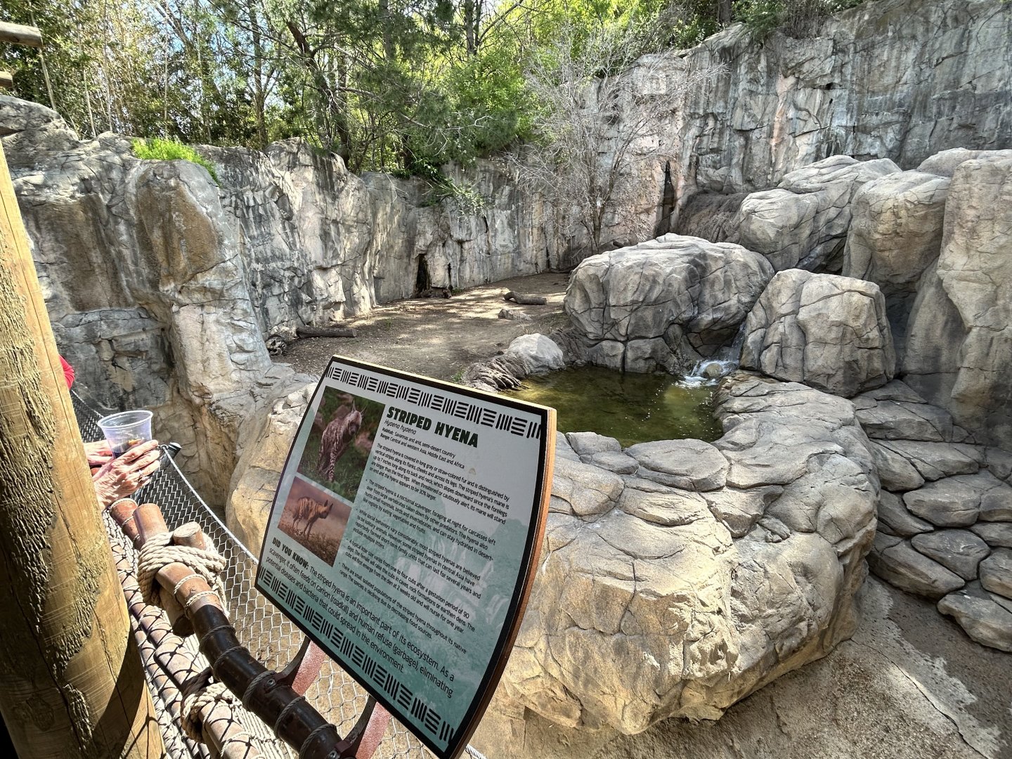 Striped Hyena Enclosure