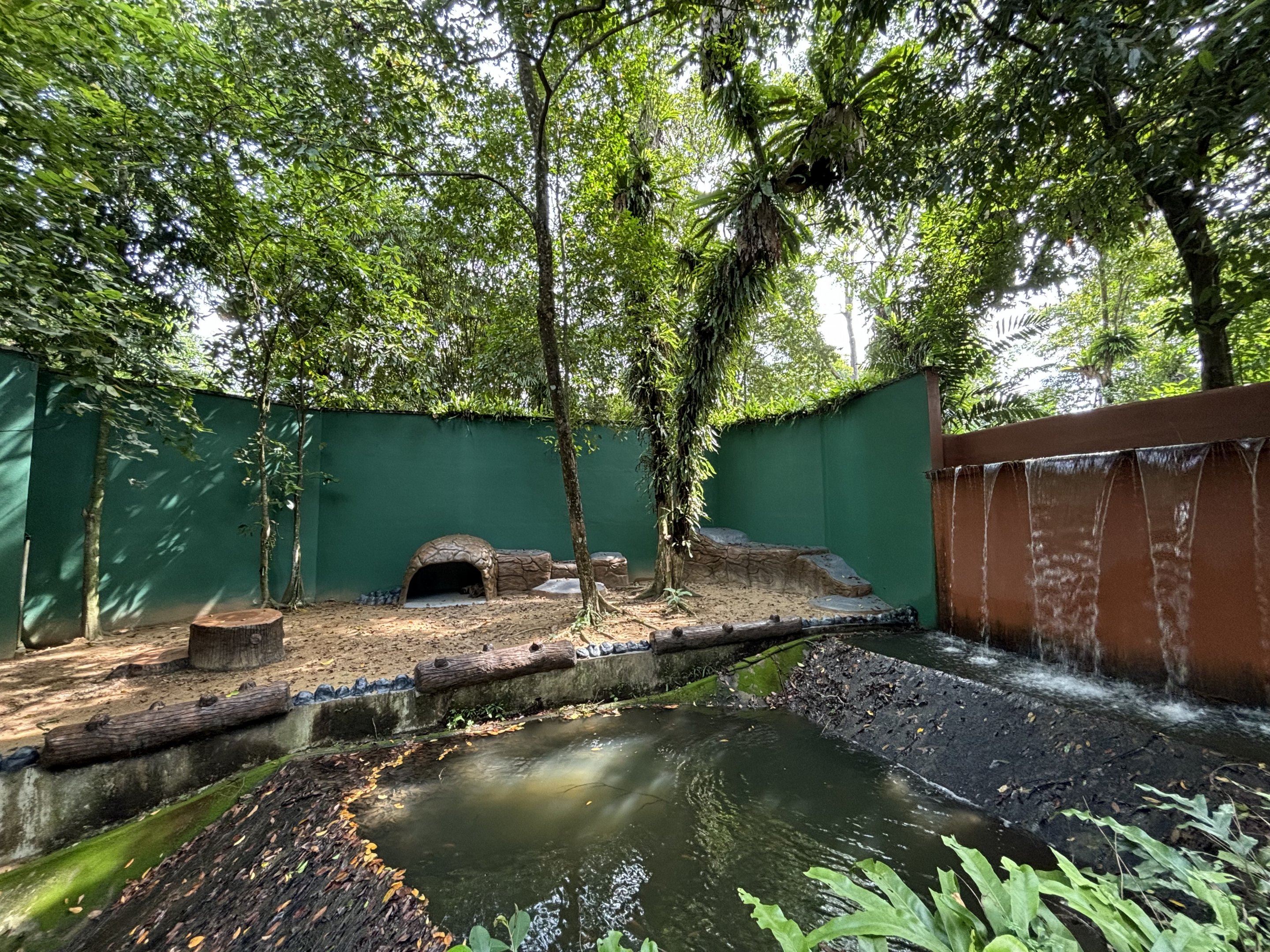 Striped Hyena Exhibit #1