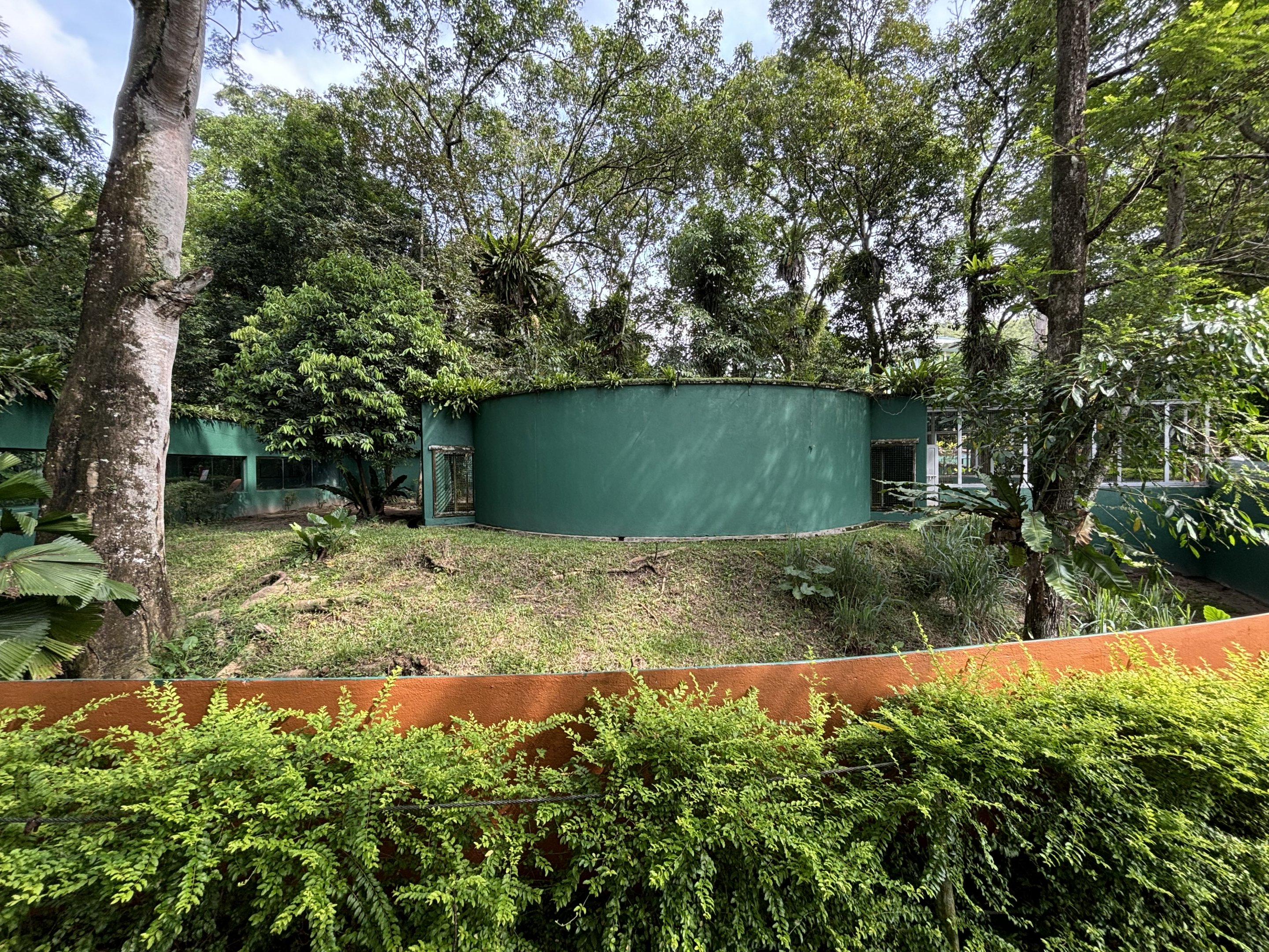 Striped Hyena Exhibit #2