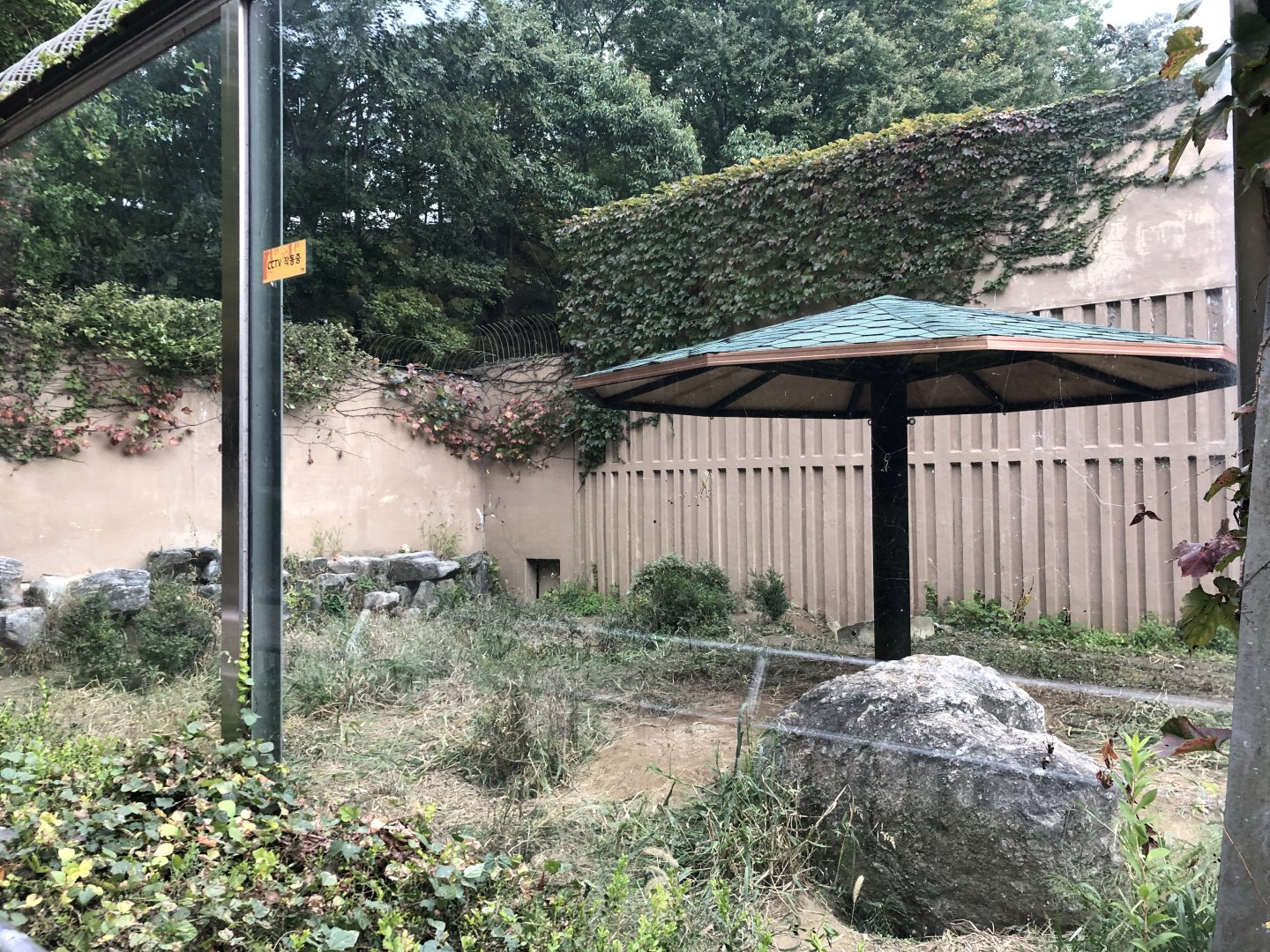 Striped Hyena Exhibit (empty)