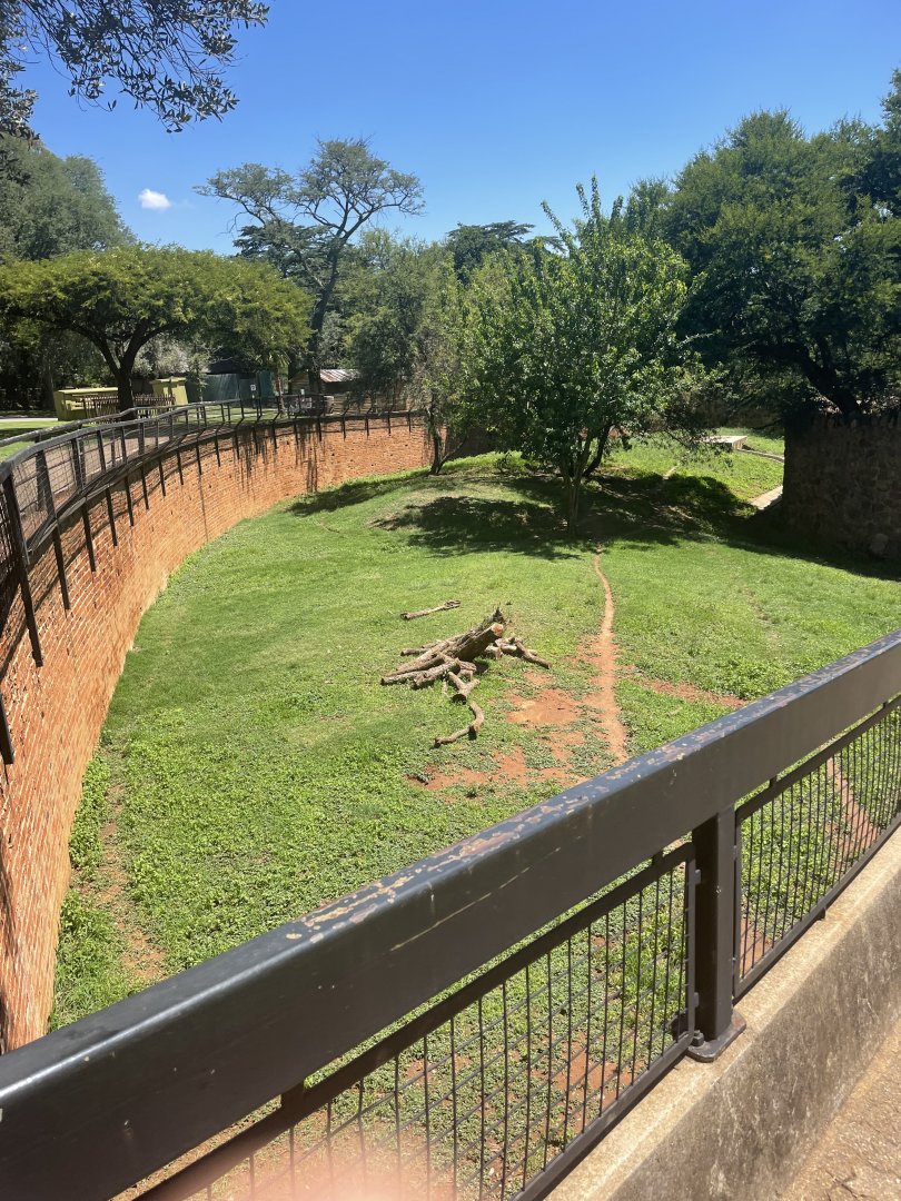 Striped Hyena Exhibit (Hyaena hyaena)