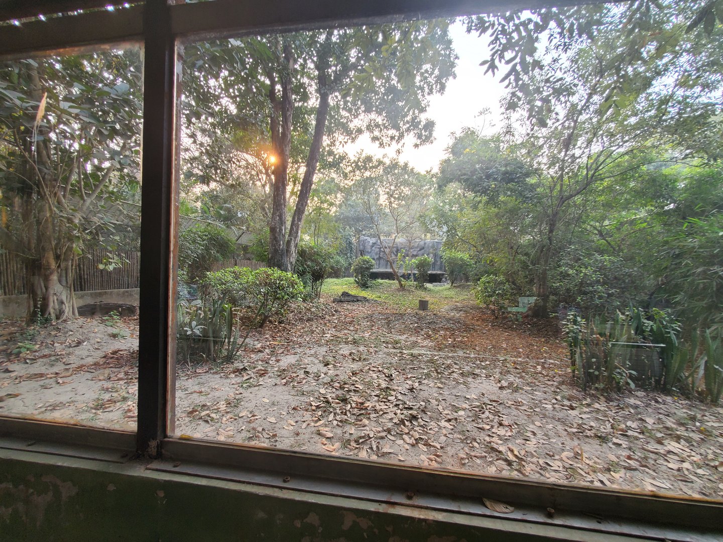 Striped Hyena Exhibit - January 2023