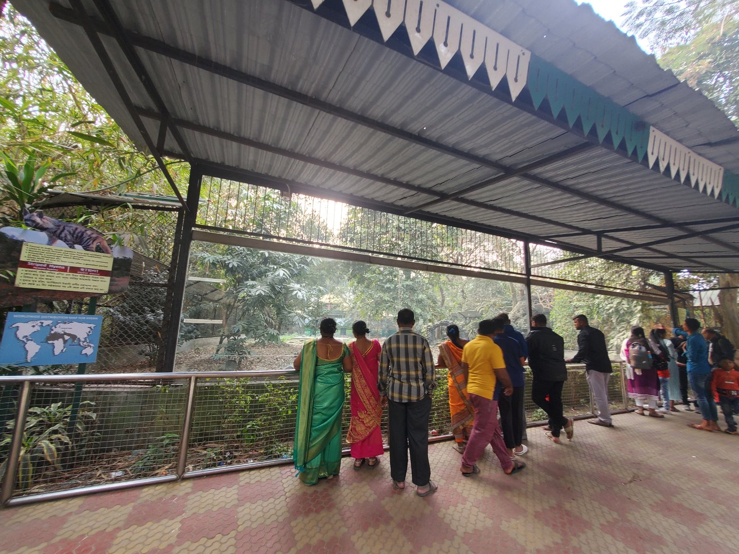 Striped Hyena Exhibit Viewing Area - January 2023