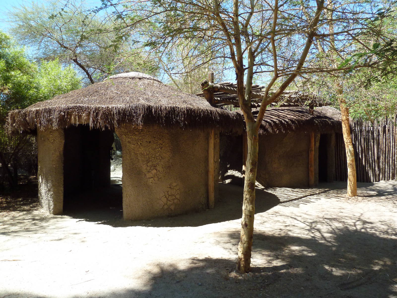 Striped Hyena Exhibit - Viewing Huts