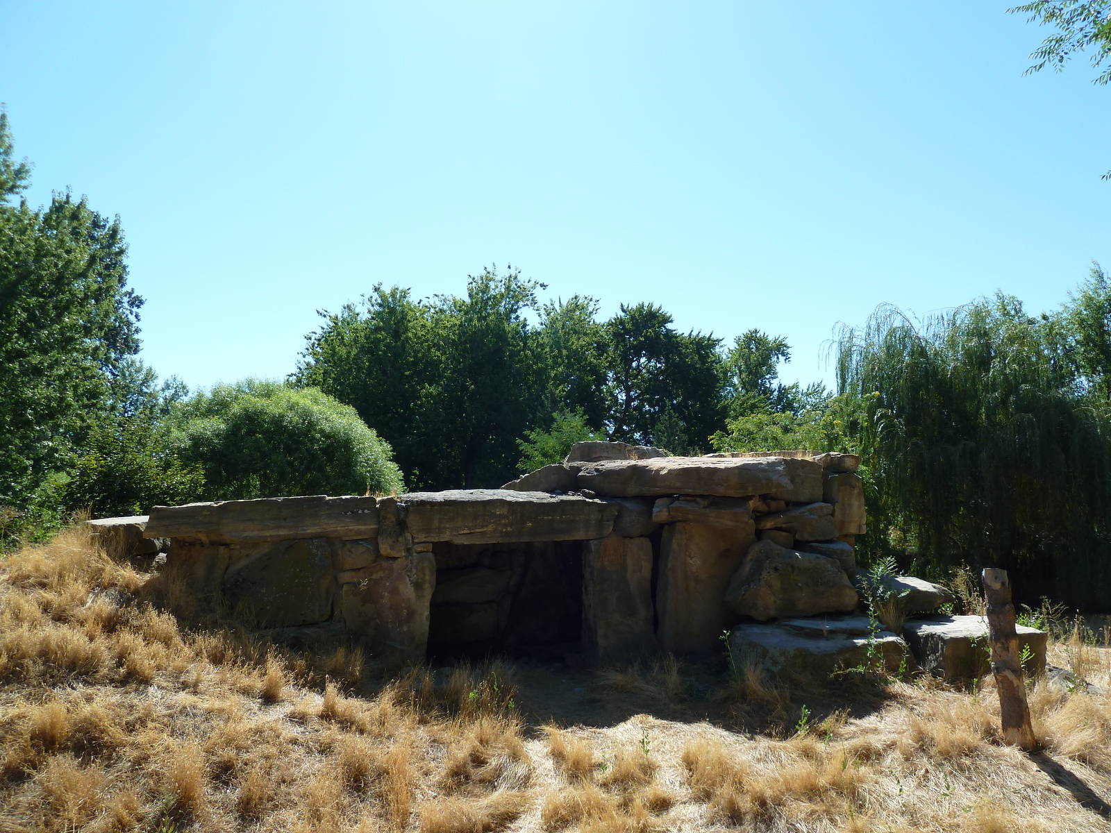 Striped Hyena Exhibit