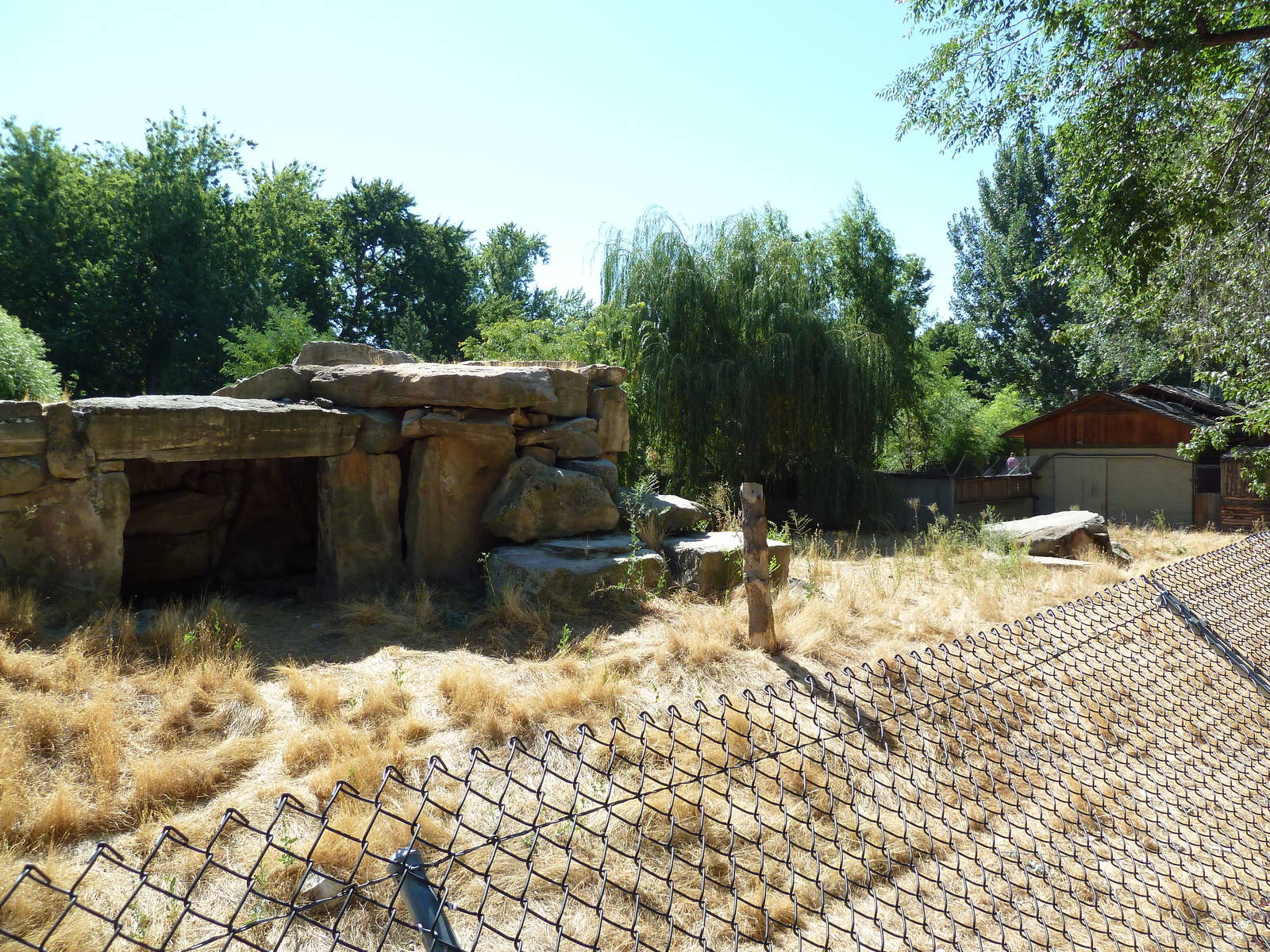 Striped Hyena Exhibit