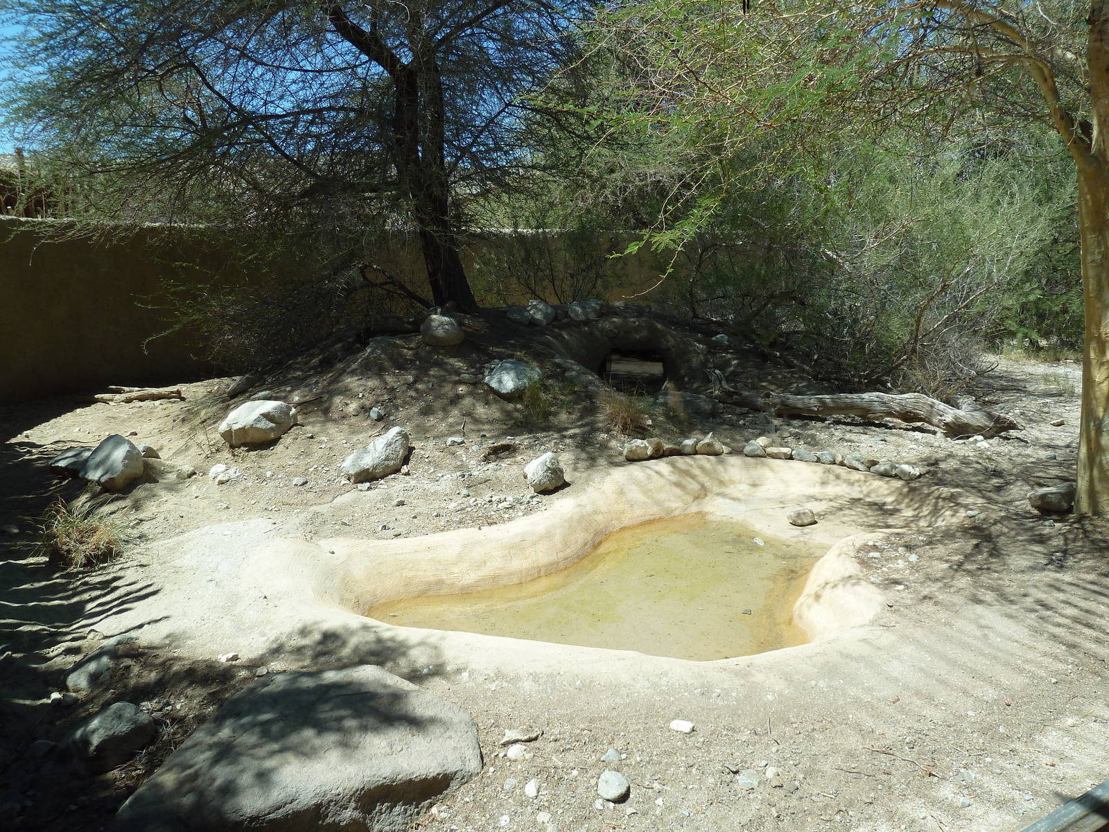 Striped Hyena Exhibit