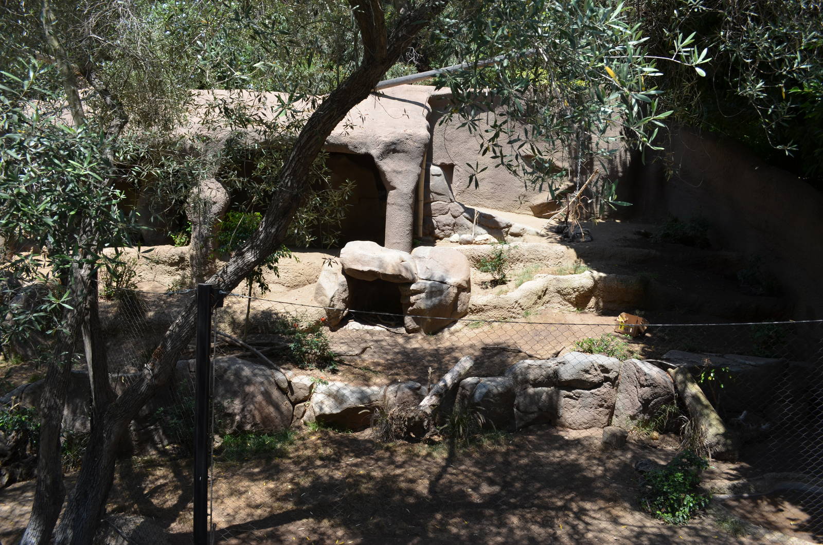 Striped Hyena Exhibit