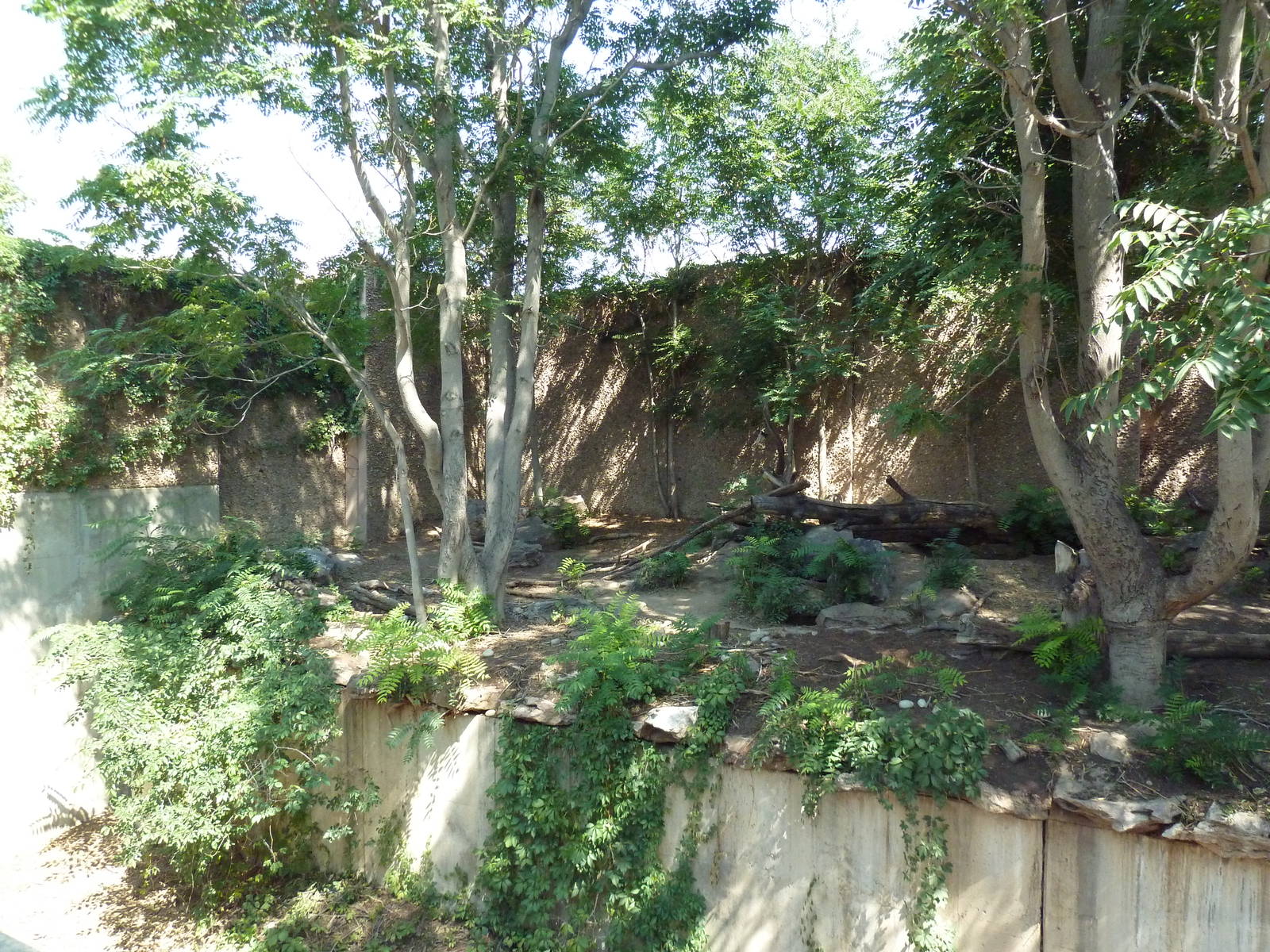 Striped Hyena Exhibit