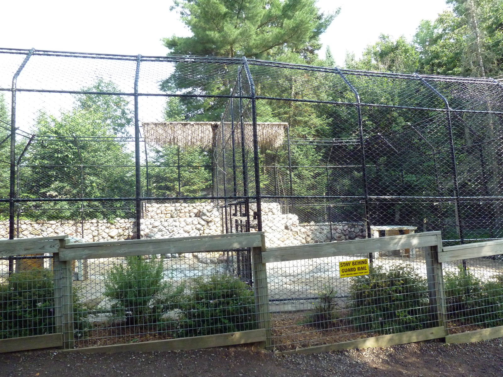 Striped Hyena Exhibit