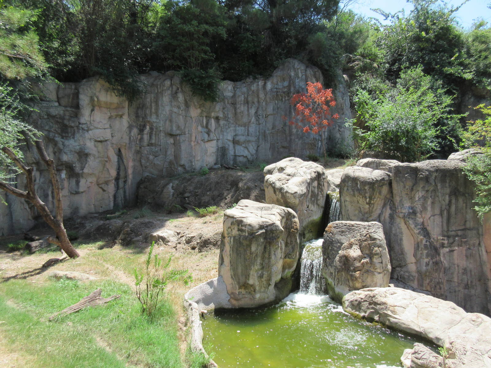 Striped Hyena Exhibit