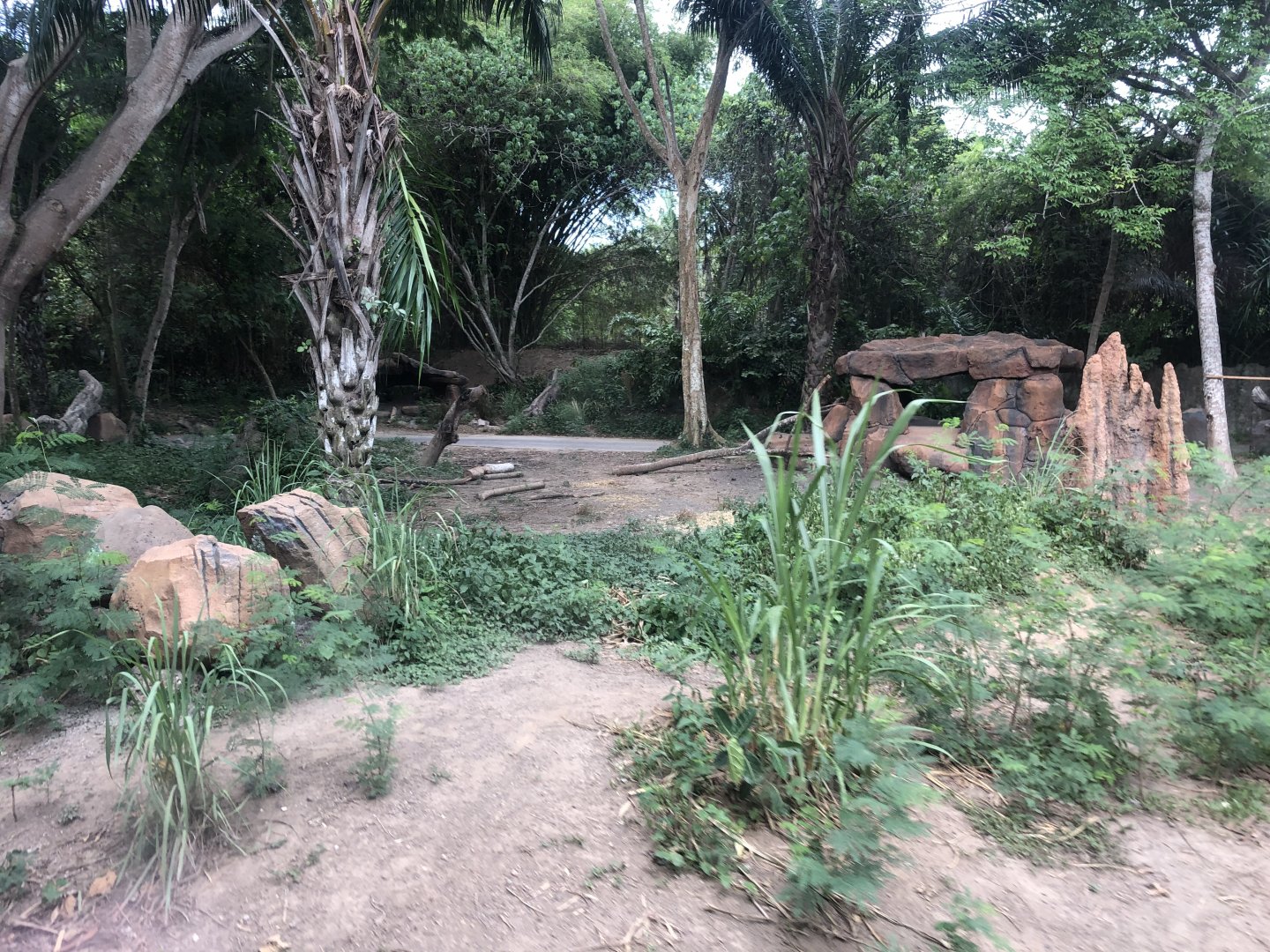 Striped Hyena Exhibit