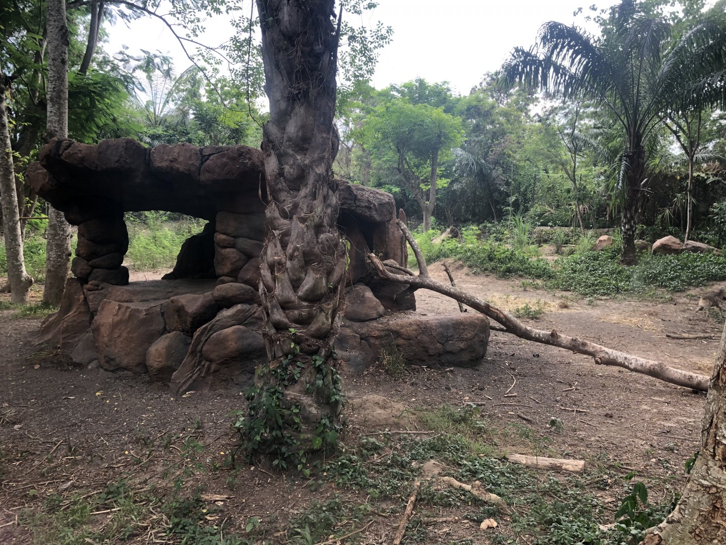 Striped Hyena Exhibit
