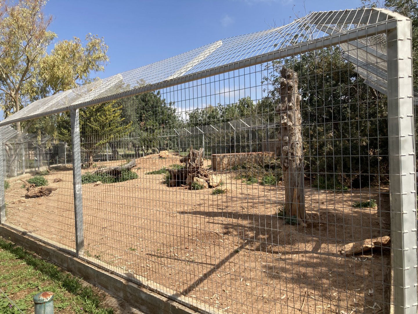 Striped hyena exhibit