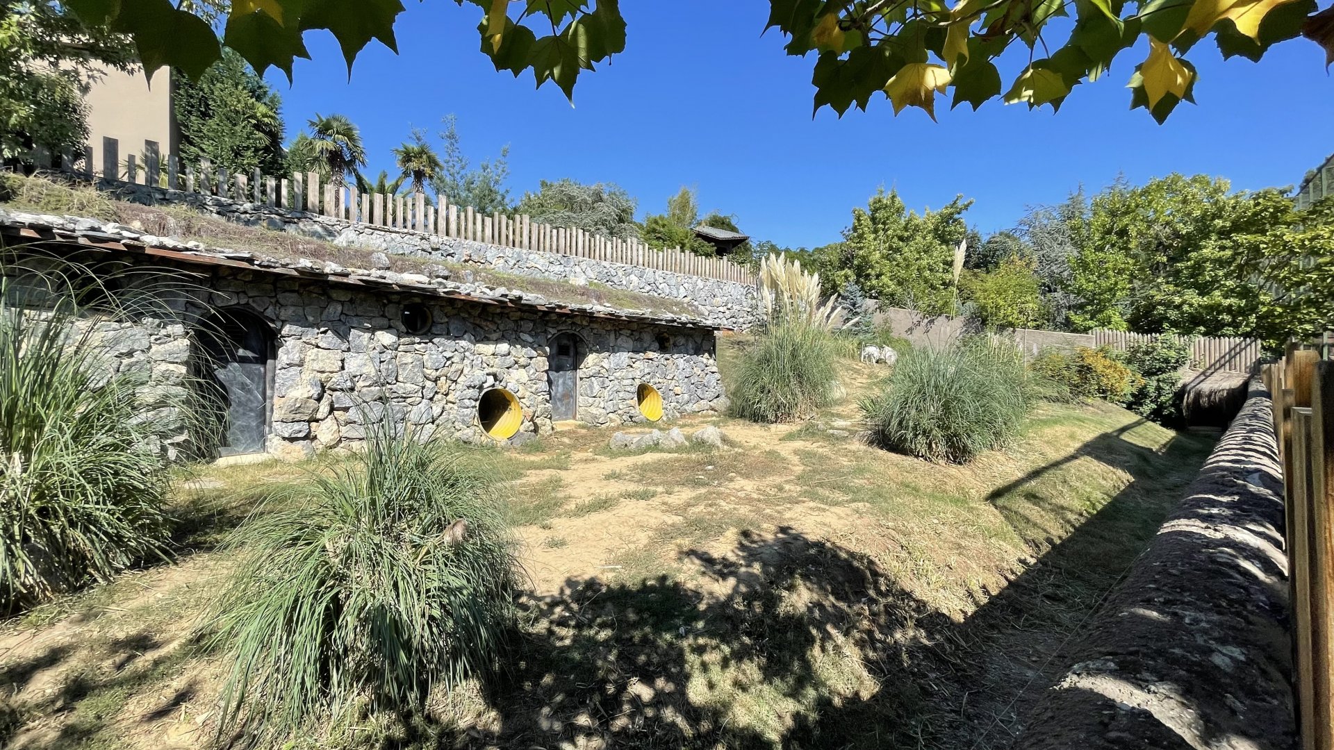 Striped hyena exhibit