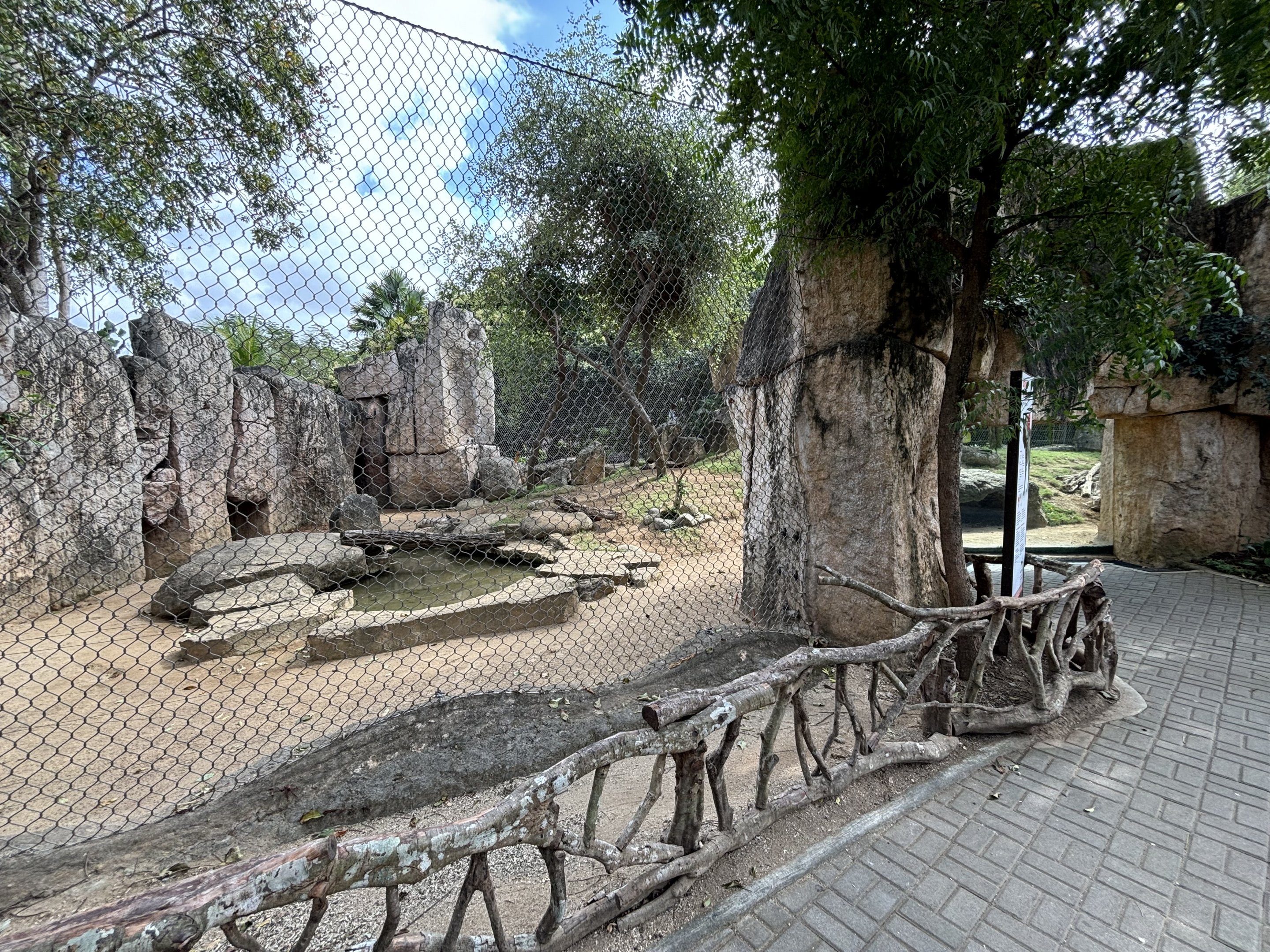 Striped Hyena Exhibit