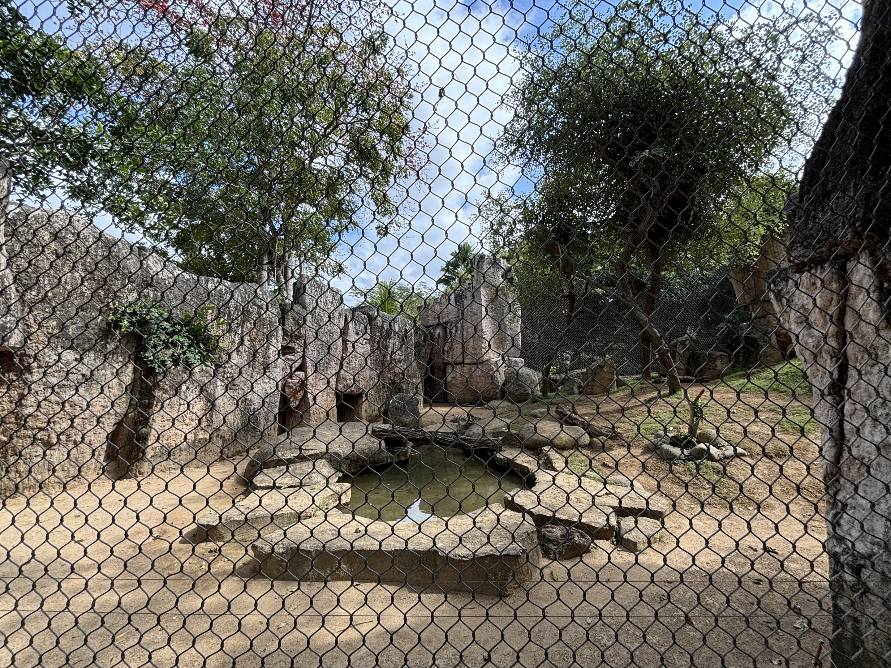 Striped Hyena Exhibit