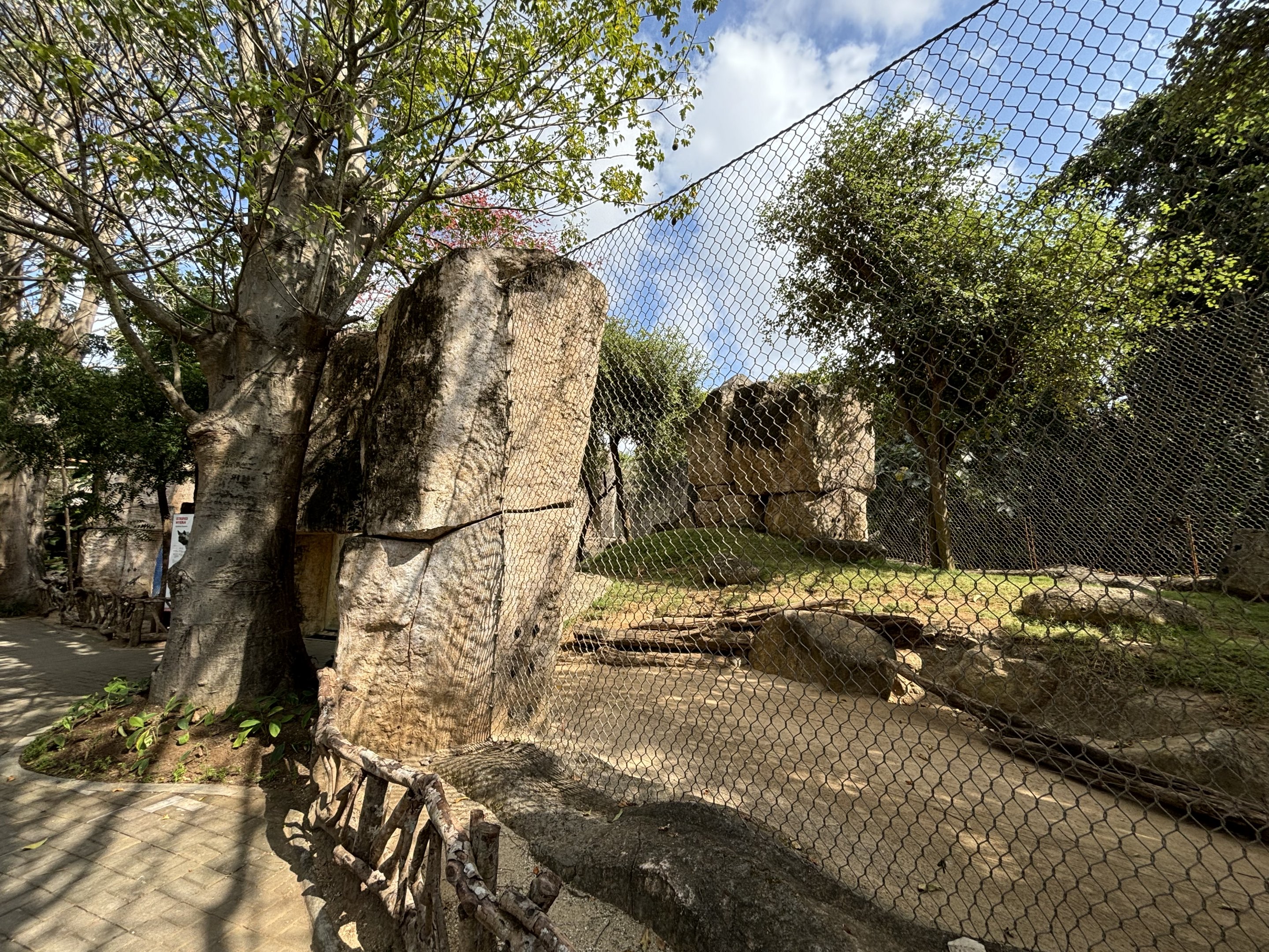Striped Hyena Exhibit