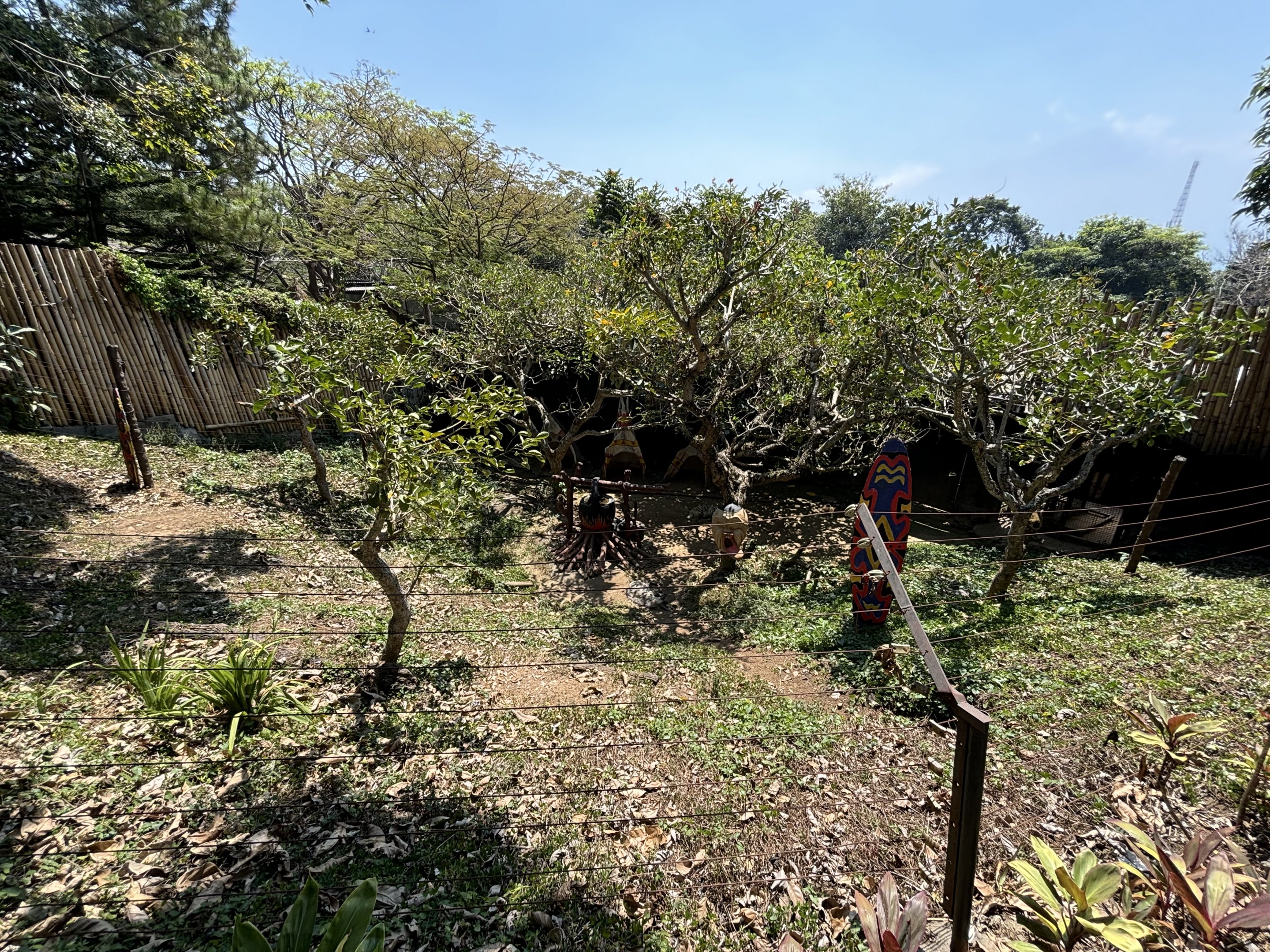 Striped Hyena Exhibit