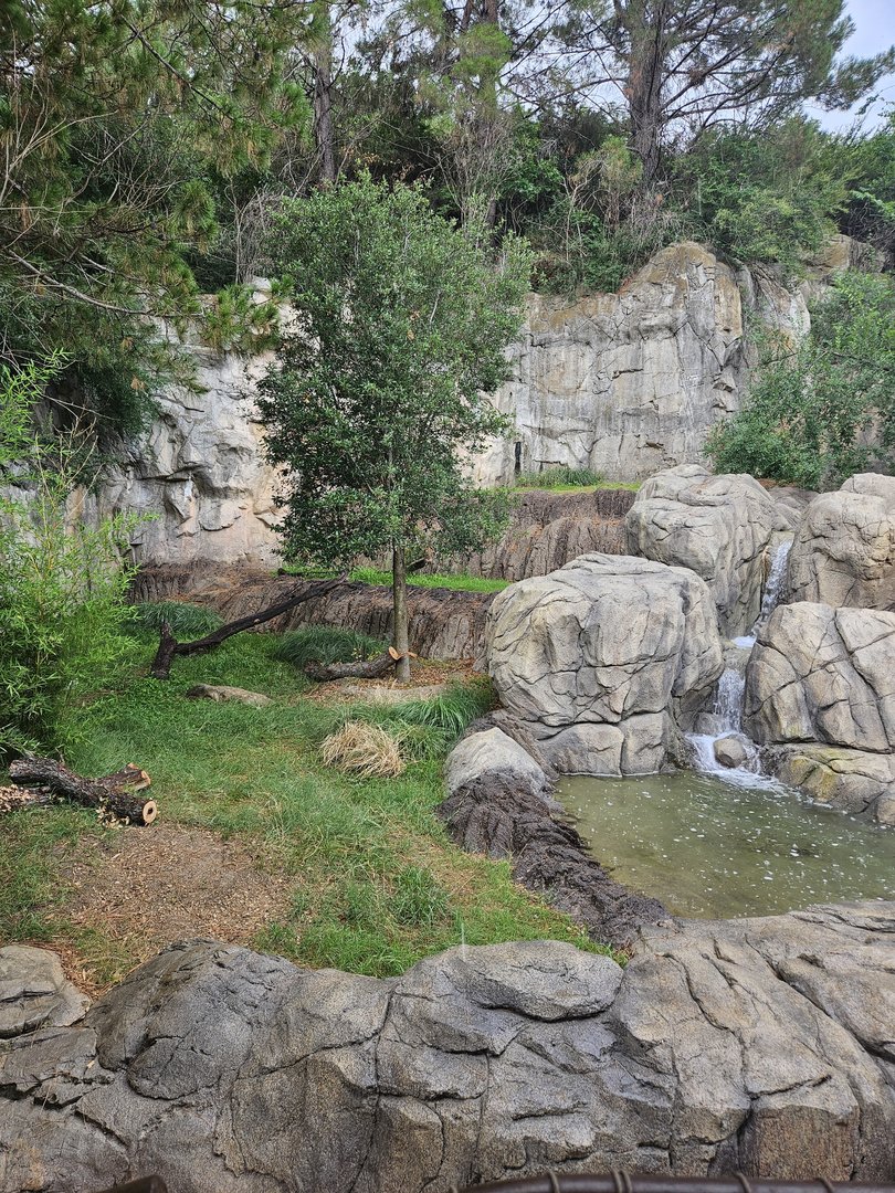 Striped hyena habitat