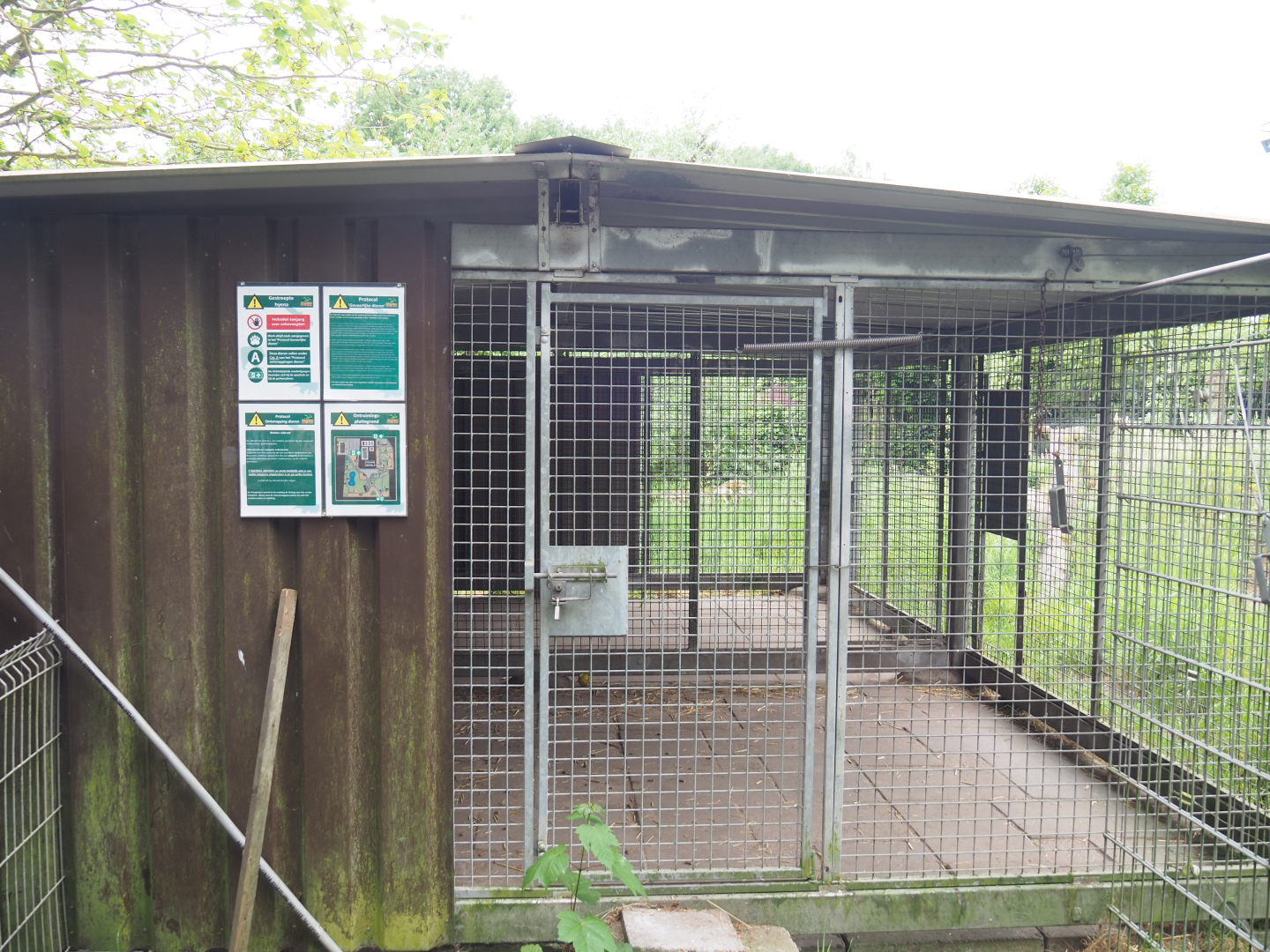 Striped hyena holding area, 2022-05-17