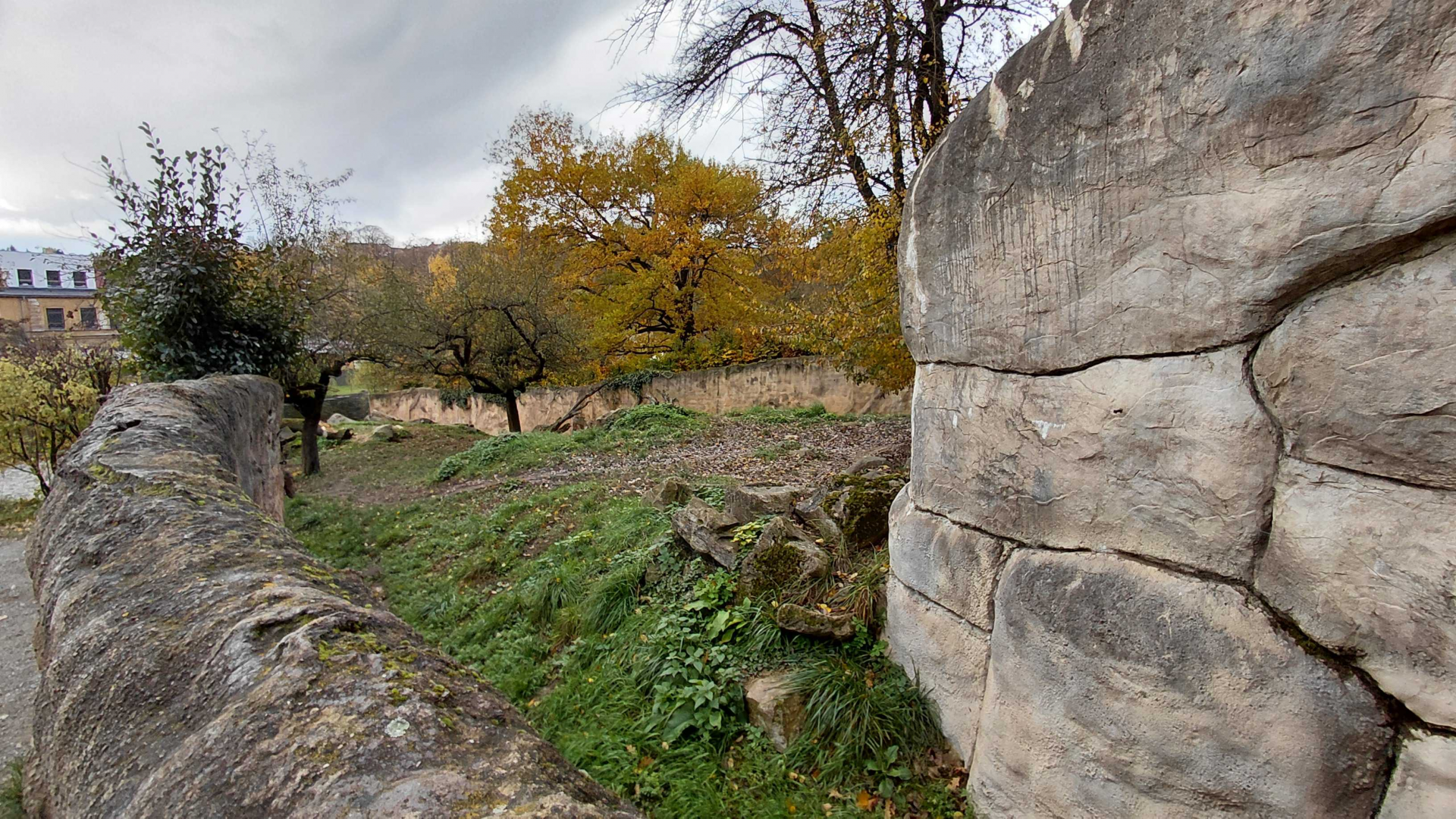Striped hyena outdoor exhibit