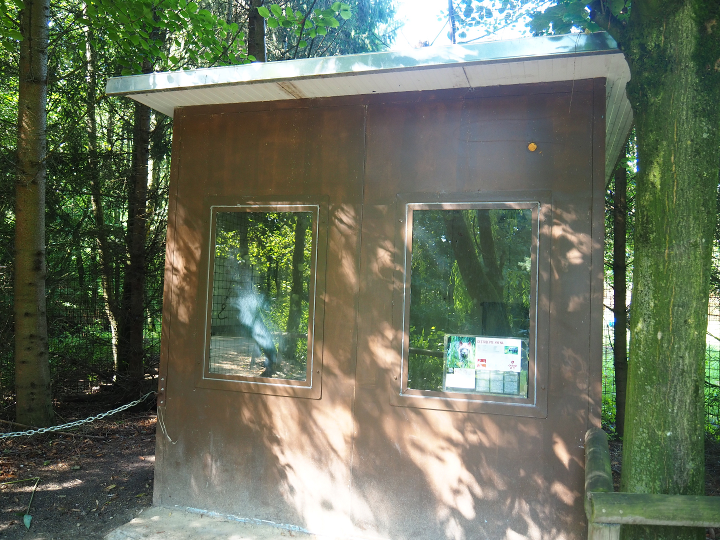 Striped hyena shack, 2019-08-04