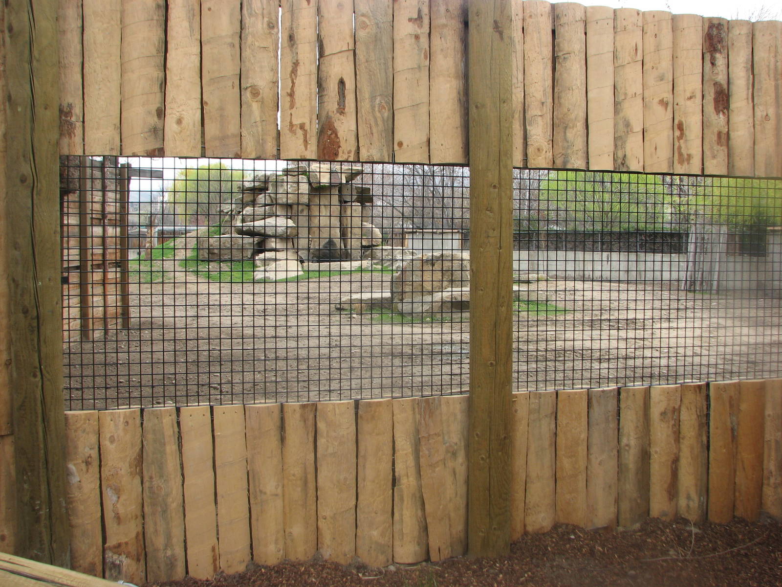 Striped Hyena Viewing