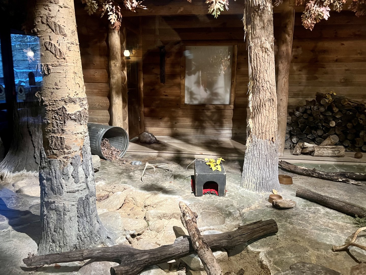 Striped Skunk and Opossum Exhibit