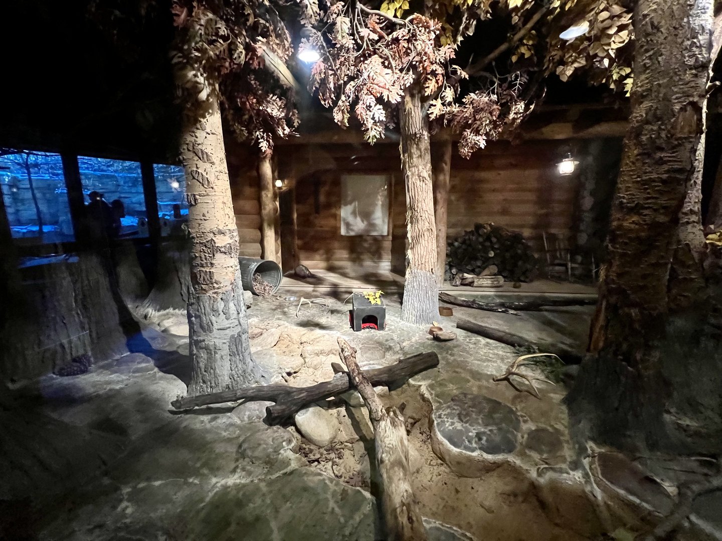 Striped Skunk and Opossum Exhibit